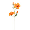 HIBISCUS 75cm - BBL40290056