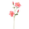 HIBISCUS 75cm - BBL40290056