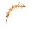 Osmanthus Tak 87 cm- BBL40410060