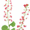 RAPESEED FLOWER 85CM- BBL40410068