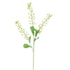 RAPESEED FLOWER - BBL40410069