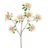 RHODODENDRON 100CM PEACH - BBL40410080