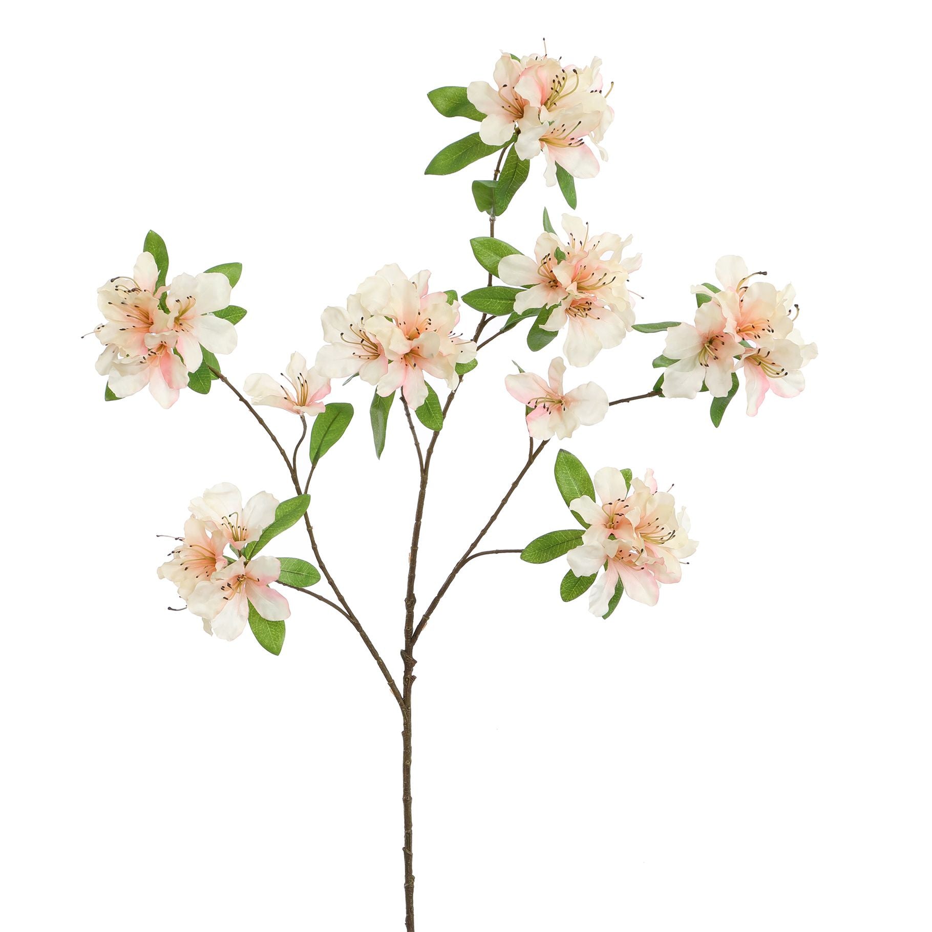 RHODODENDRON 100CM PEACH - BBL40410080