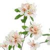RHODODENDRON 100CM PEACH - BBL40410080