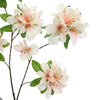 RHODODENDRON 100CM PEACH - BBL40410080