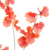 ERWTENBLOEM 115CM- BBL40410091