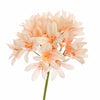 AGAPANTHUS TAK 77cm PEACH - BBL40410129