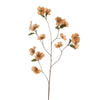 DOGWOOD 96CM - BBL40410173
