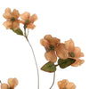 DOGWOOD 96CM - BBL40410173