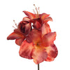 AMARYLLIS 80 CM