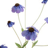 RUDBECKIA SPRAY 88CM - BBL40510030