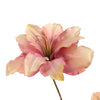 AMARYLLIS 88 CM -BBL40510039