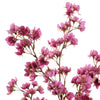 FLOWER SPRAY 85CM - BBL40510044