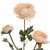 RANUNCULUS 60CM - BBL40810014