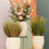 Planter Laos Emperor Cream