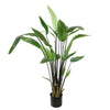 WATER CANNA 120CM - BBL70250027