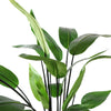WATER CANNA 120CM - BBL70250027