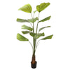 WILD BOMBAY FAN PALM 160CM - BBL70290013