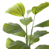 WILD BOMBAY FAN PALM 160CM - BBL70290013