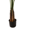 WILD BOMBAY FAN PALM 160CM - BBL70290013