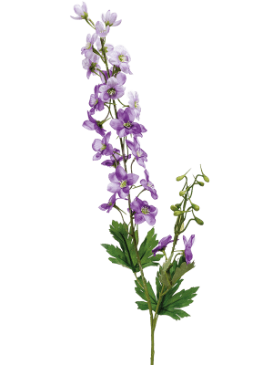 DELPHINIUM 77cm - BBL8EE423826