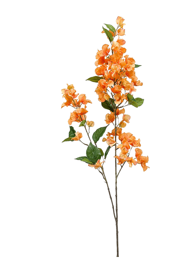 BOUGAINVILLEA H.117 cm - EM 8EE425165