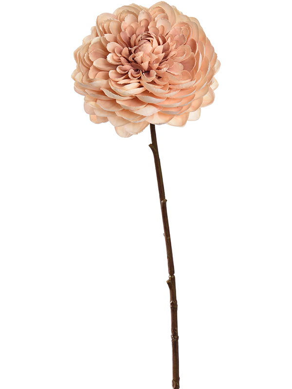 Dahlia -EM 8JA022BEI