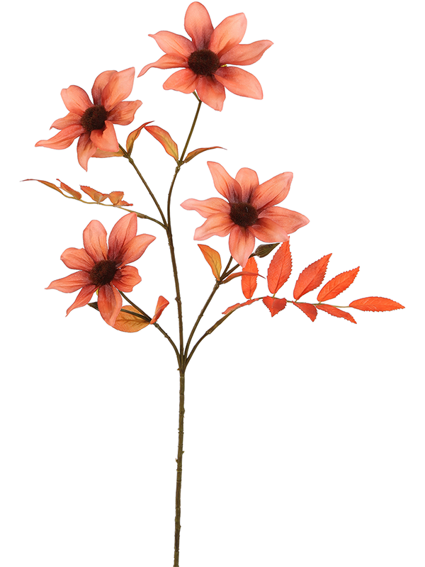 Dahlia Flower -EM 8JA4051BR