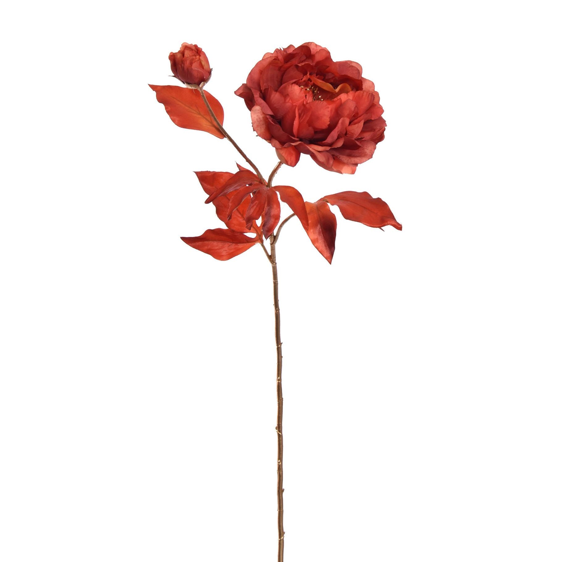 PEONY SPRAY 80CM - BBL98110031