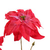 POINSETTIA 67 CM