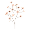 COSMOS BLOEMENTAK 124CM