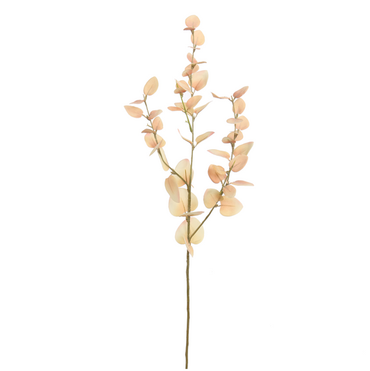 EUCALYPTUS PASTEL BEIGE 80CM