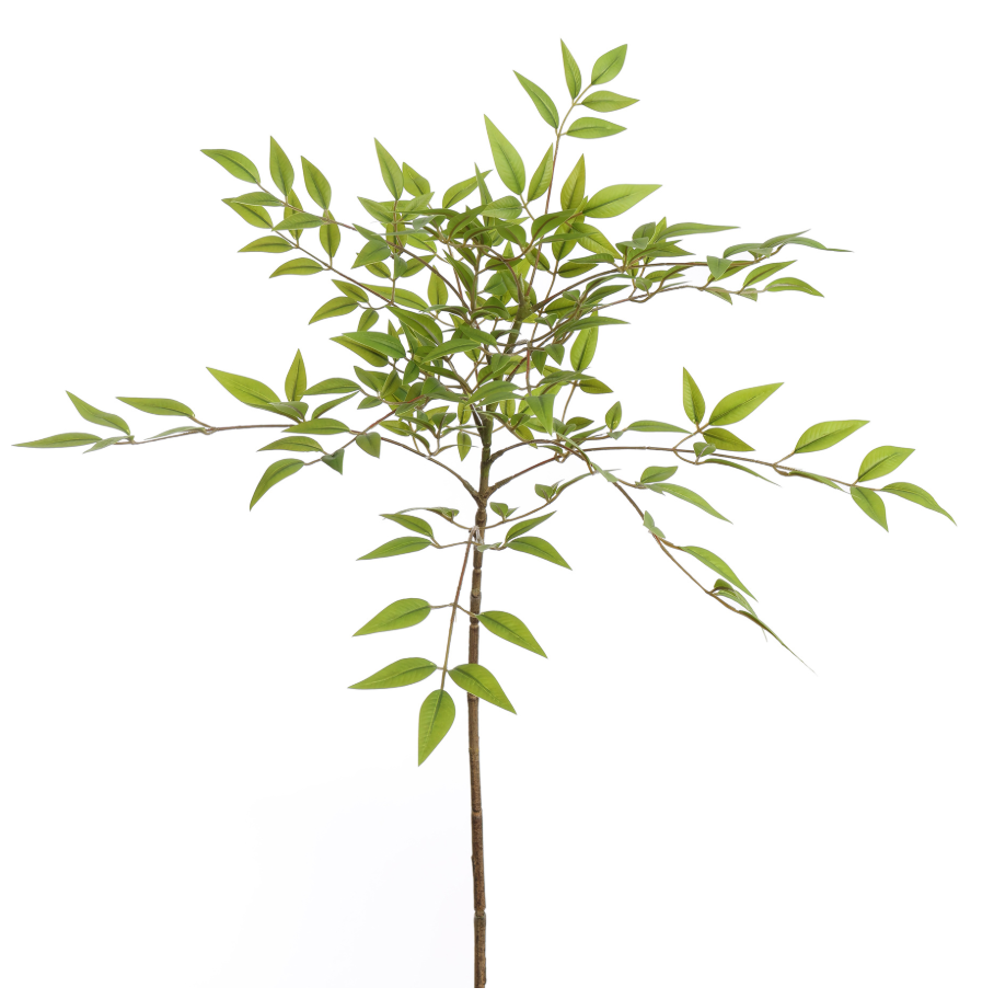 BLAD TAK 90CM GROEN