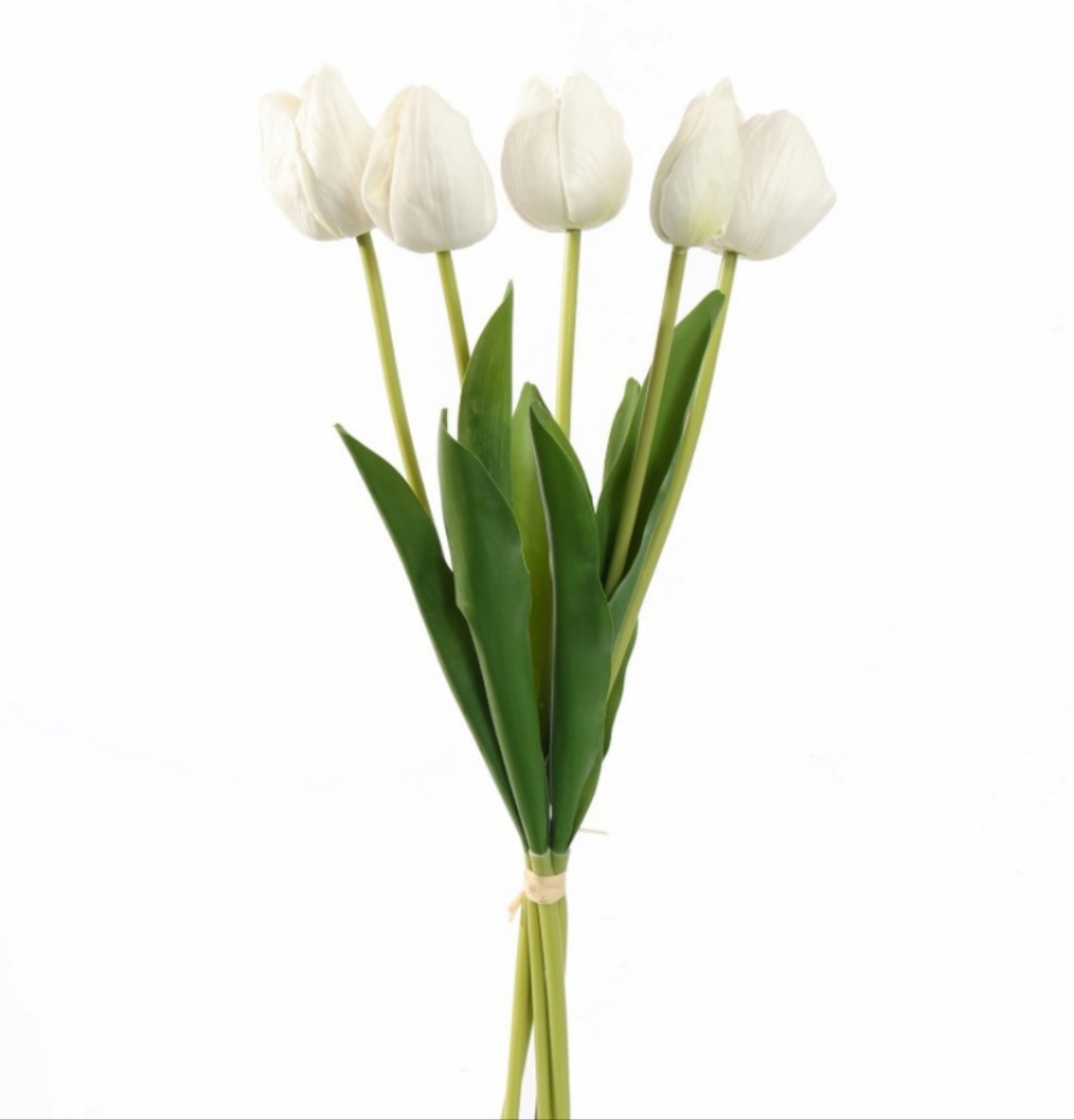 Bosje van 5 witte tulpen