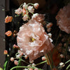 Poppy - BBL40190015