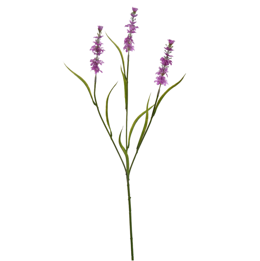 LAVENDEL DRIETAKKIG 65CM PAARS