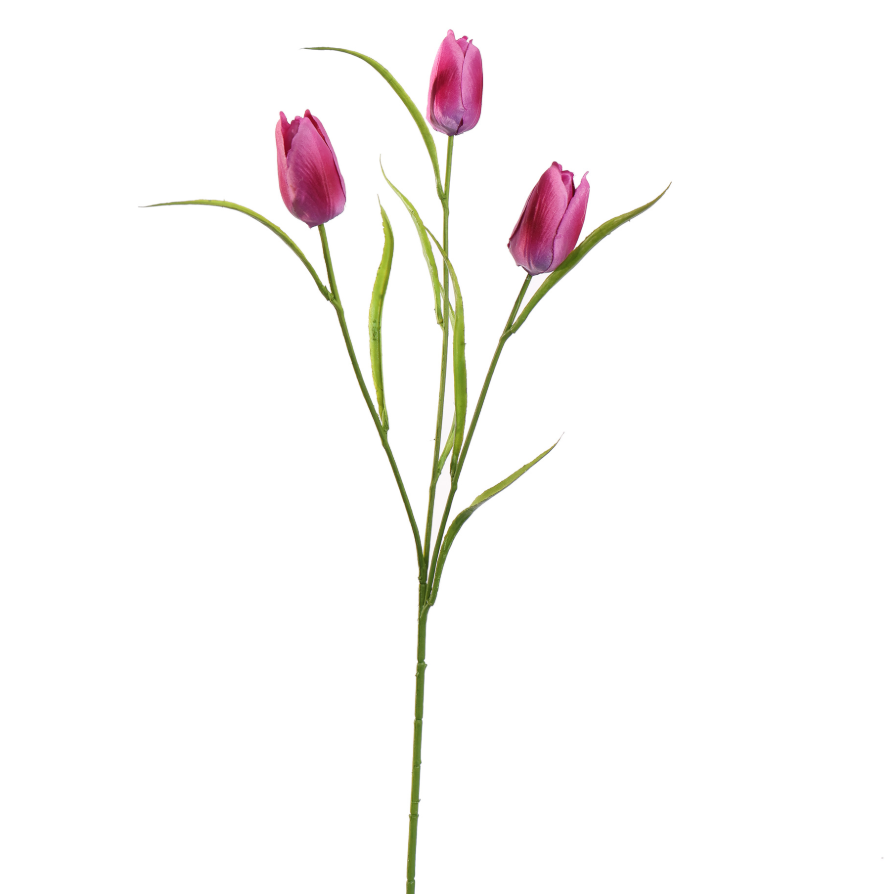 Losse tak Tulp Beauty 60cm