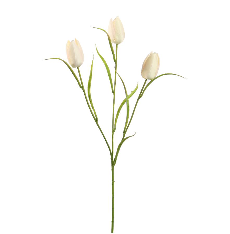 Losse tak Tulp Crème 60cm