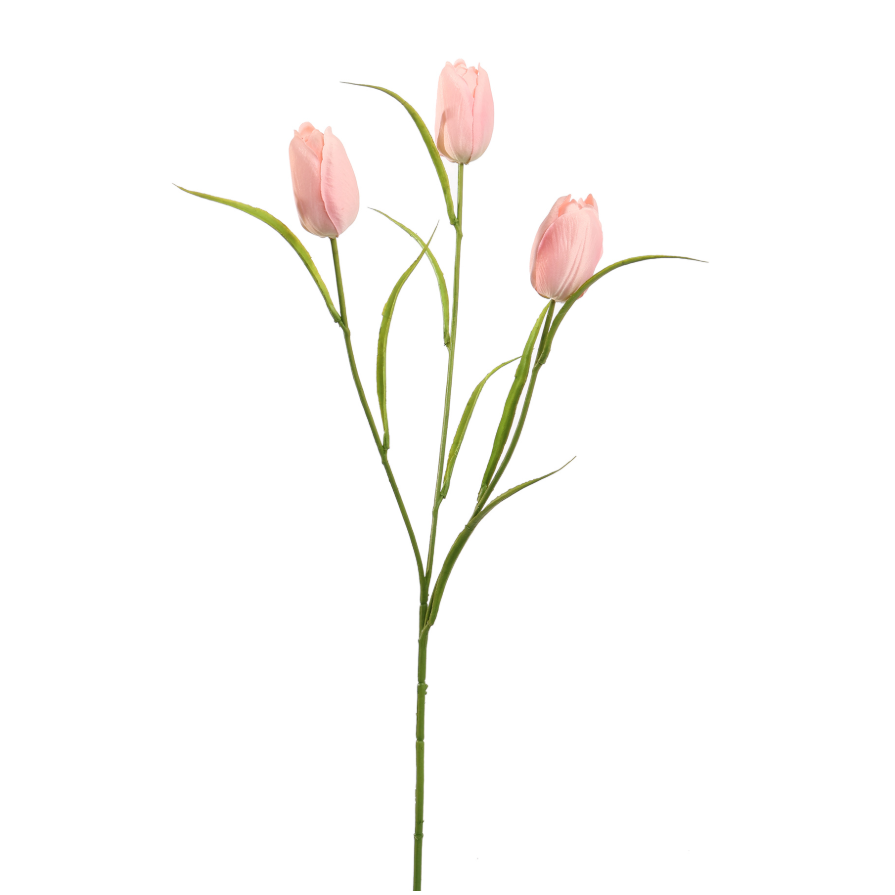 Losse tak Tulp Roze 60cm