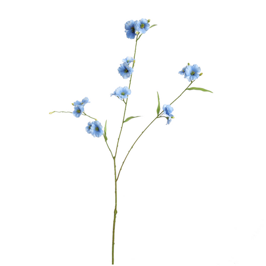 PRIMULA TAK 92CM BLAUW