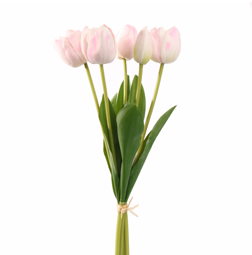 Bosje van 5 roze tulpen