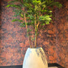 RONNBAR TREE 240CM - BBL70210052