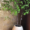 JAPANESE HANGING BELL TREE 280CM - BBL70210071