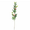 Boeket Blom + VT Wonen vaas (SET)