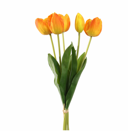 Bosje van 5 oranje tulpen