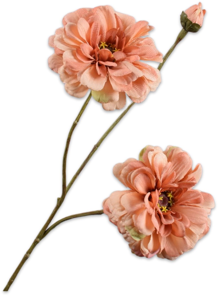 Zinnia tak zalm   - BBL 8718648590297